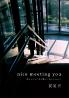 nice meeting you