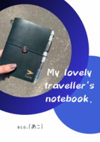 My lovely traveller's notebook