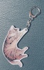 遊ぶ猫