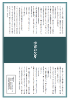 宇宙の欠片