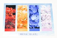 クリアしおり 花 4種セット