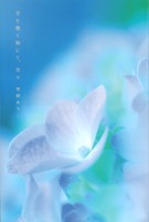 骨を撒く海にて、草々