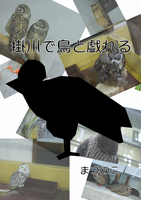 【エッセイ・随筆】【手製本】掛川で鳥と戯れる