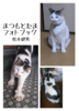 まつもとたまフォトブック
