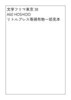 文学フリマ東京38 A60 HOSHIDO リトルプレス等カタログ