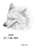 近くて遠い場所