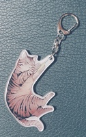遊ぶ猫