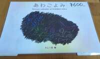 あわごよみ