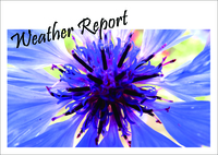 Weather Report #1-3
