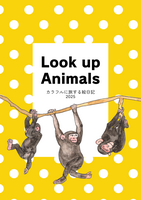 Look Up Animals