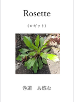 詩集「Rosette(ロゼット)」