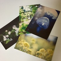 フィルム写真のポストカード