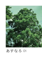 あすなろ01