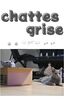 chattes grise
