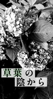 草葉の陰から
