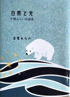 白熊と光