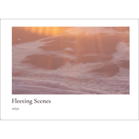 Fleeting Scenes