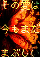 その愛は今もまだまぶしい