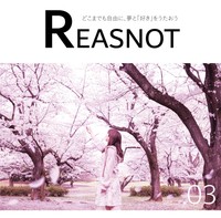 REASNOT.03