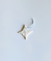 オーナメント「エッセイの断片」