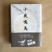 小夜鳴鳥