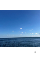 海