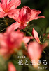 花写真集『花と生きる』