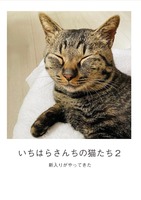 いちはらさんちの猫たち2