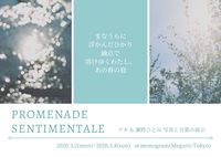 作品展告知用ポストカード