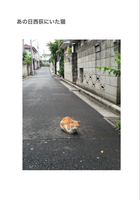 あの日西荻にいた猫