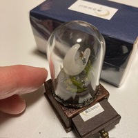 三日月の夜