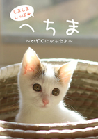 しましましっぽ へちま 〜かぞくになったよ〜
