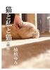 猫と私と猫