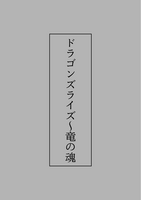 ドラゴンズライズ〜竜の魂