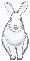 いないいないばあ