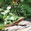 とかげびより