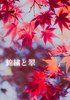 錦繍と翠