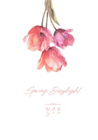 Spring Daylight