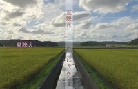 夏映え