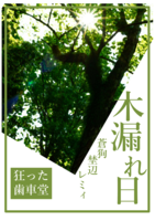 木漏れ日