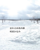 忘れえぬ染め跡