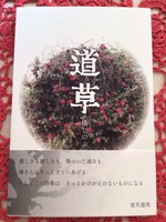 道草