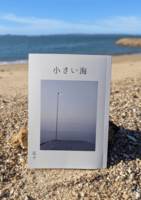 小さい海