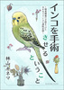 インコを手術させるということ