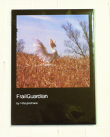 Frail Guardian 写真集