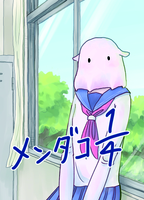 メンダコ1/4