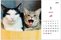 富士額のふじまるくんとおてんば猫こまちちゃん 卓上カレンダー2024