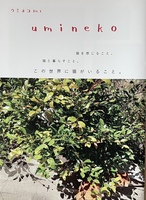 小雑誌『umimeko』創刊号