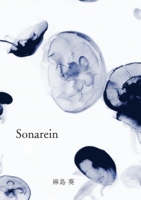 Sonarein