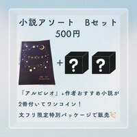 小説アソート Bセット